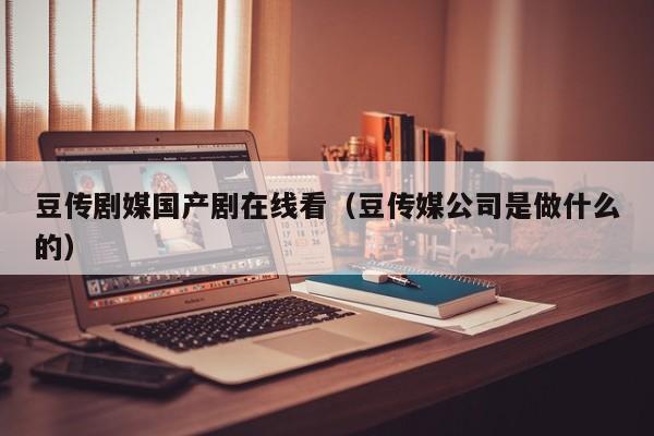 豆传剧媒国产剧在线看（豆传媒公司是做什么的）