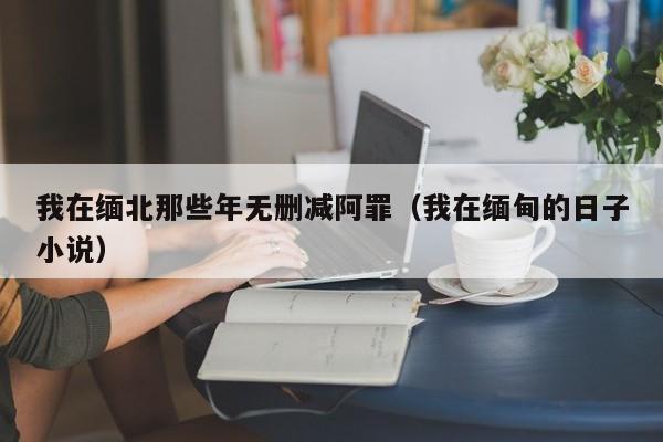 我在缅北那些年无删减阿罪（我在缅甸的日子小说）