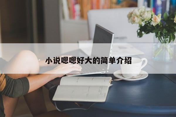 小说嗯嗯好大的简单介绍