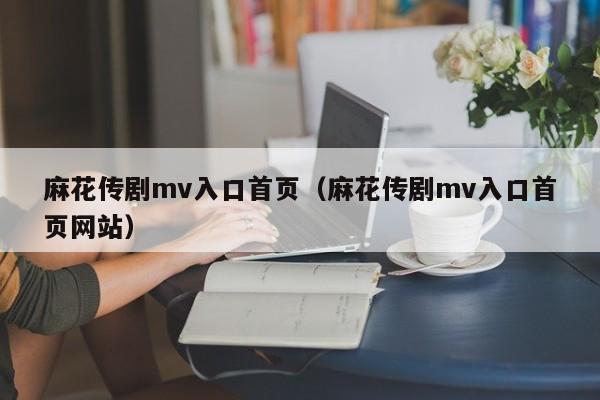 麻花传剧mv入口首页（麻花传剧mv入口首页网站）